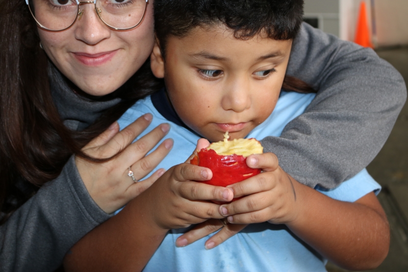 Día de la Actividad Física